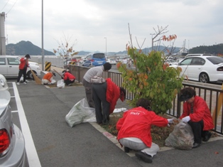 宇野港の桜公園桜の並木道の清掃（おかやまアダプト事業）