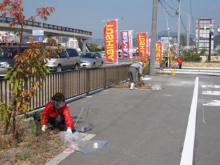 宇野港の桜公園・桜の並木道の清掃