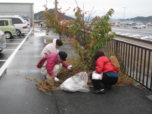 宇野港の桜公園桜の並木道の清掃（おかやまアダプト事業）を実施