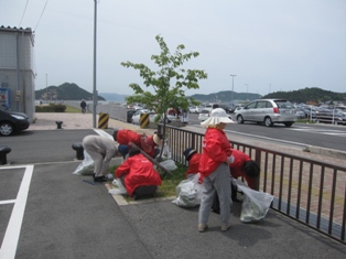 宇野港の桜公園桜の並木道の清掃（おかやまアダプト事業）を実施