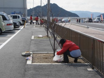 宇野港の桜公園・桜の並木道の施肥