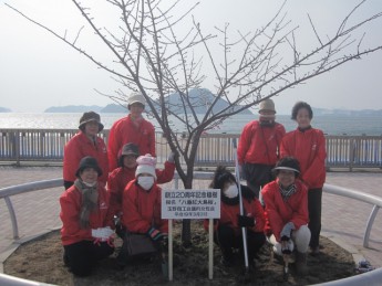 宇野港桜公園桜の並木道の施肥を実施