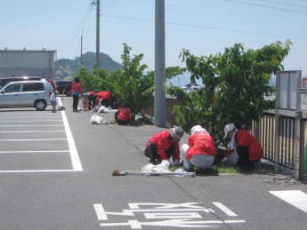 宇野港の桜公園桜の並木道の清掃（おかやまアダプト事業）を実施