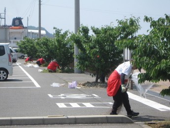 宇野港桜通りの清掃