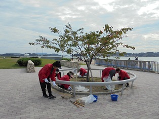 宇野港の桜公園桜の並木道の清掃（おかやまアダプト事業）を実施