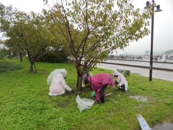 宇野港の桜公園桜の並木道の清掃