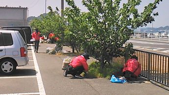 宇野港の桜公園桜の並木道の清掃