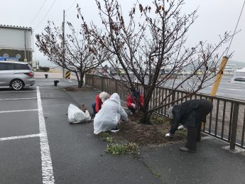 桜の公園桜の並木道の清掃を実施