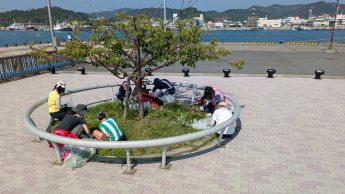 宇野港桜の公園並木道の清掃