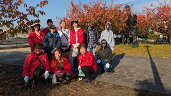 宇野港桜の公園並木道の清掃
